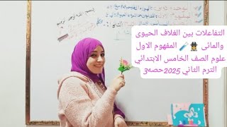 التفاعلات بين الغلاف الحيوى والمائى 🕵️🧪💜👾علوم الصف الخامس الابتدائي المفهوم الاول حصه3ترم ثانى2025