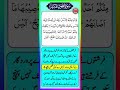Surah Hud Urdu Translation Ayat 81 #shorts #short #quran #islam #verse #status #snack #tiktok #viral