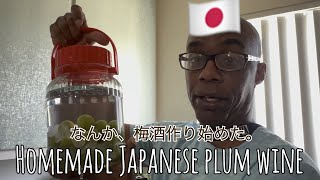 くりすが、梅酒作り始めた。なんだ、これ。Japanese homemade plum wine