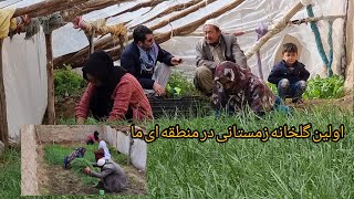 رواج گلخانه های زمستانی در جاغوری۱۳ نومبر ۲۰۲۲