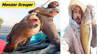 32Kg Monster Grouper Catching on Flate Line