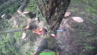 small diameter , wedgemanship
