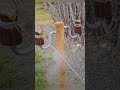 High voltage transmission lines effects of wet branches#shortsfeed #electric #shorts #ytshorts