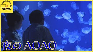 もうすぐ札幌中心部にオープン！都市型水族館「ＡＯＡＯ　ＳＡＰＰＯＲＯ」で一夜限りのイベント開催