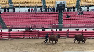 25.1.12일 8round (홍) 범돌 vs (청) 차룡 개인적으론 판정이 아쉬웠던 ㅠㅠ