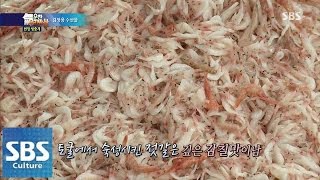 토굴에서 숙성 시킨 젓갈 @SBS 생활경제 141124