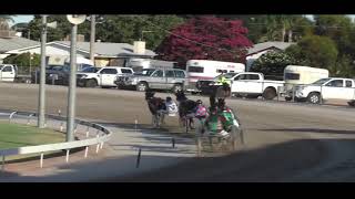 Mildura Harness Racing Club- 8 Jan 2025 Trial 4