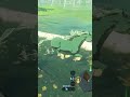 BOTW Accident: When You Make A Horse Mad (The Legend of Zelda: Breath of the Wild)