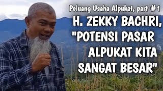 Peluang Usaha Budidaya Alpukat, Potensi Pasar Sangat Besar !! Part #1