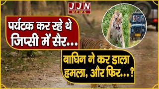 पर्यटक कर रहे थे जिप्सी में सैर...बाघिन ने कर डाला हमला, और फिर...?|| JJN News