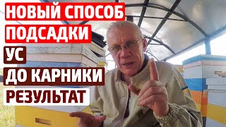 Подсадка матки НОВЫЙ СПОСОБ РЕЗУЛЬТАТ Рекомендую