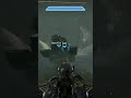 Halo shenanigans