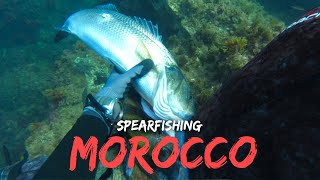 Spearfishing trip Tibouda nador #mero #grouper #seabass