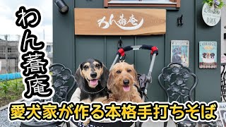 愛犬家が作った本格手打ちそば屋でお土産まで貰った【ミニチュアダックスフンド】dachshund