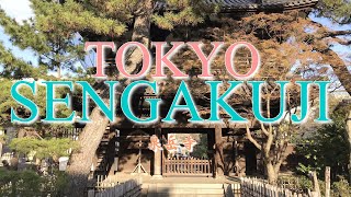 [4K] 100 Beautiful Places to Go in Tokyo 15 \