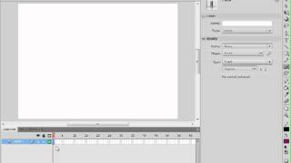 Adobe Flash CS4 - The Workspace