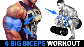 6 Biceps Workout For Bigger Arms - Bicep Workout