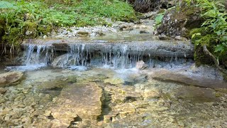 Falcon Dale (Sokolia dolina) in Slovakia Paradise National Park