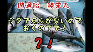 瀬戸内 ジグに反応がないので奥の手で！ハマチ曳き釣りトローリング！