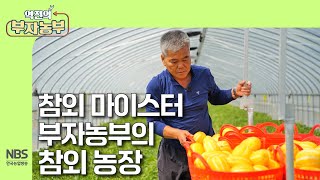 [역전의부자농부 303회] 국내 1호 참외 마이스터 부자농부의 7,000평 참외 농장