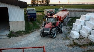 Ferme Belvaldale - epandage de lisier / liquid manure spreading with CASE IH 225 Magnum