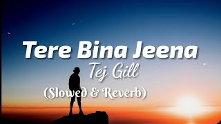 Tere Bina Jeen Saza Ho Gaya (Lyrics) - Tej Gill (Slowed & Reverb) | TheLyricsVibes |