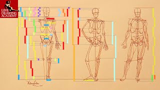 Classical Human Body Proportions