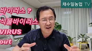 바이러스~방제/잡을수있다~/식물바이러스??왜 걸릴까?