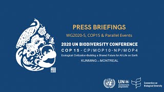 (English) COP-15 President news conference - 13 December 2022 09:00 (GMT-5)