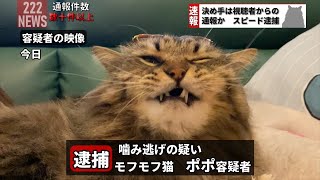 「飼い主が襲撃され負傷する事件」「飼い主の不適切発言炎上」「逮捕の決め手は視聴者通報」【特典映像付き】