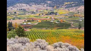 Fall Okanagan Wine Festival