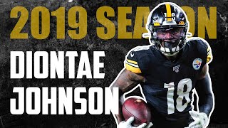 Diontae Johnson Highlights - Every Catch 2019 | Pittsburgh Steelers WR Rookie Season