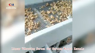 Linear Vibrating Screen for Sorting Walnut Kernels