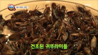 [Power Magazine] 파워매거진 - Protein lump Cricket cook 단백질 덩어리 '귀뚜라미'요리 ?20150904