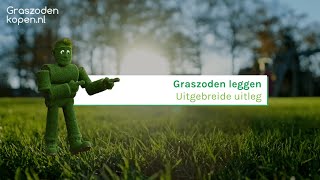 Zelf uw graszoden leggen? Tips van de expert voor het leggen van uw eigen gazon!