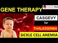 CASGEVY-GENE THERAPY FOR SICKLE CELL ANEMIA & THALASSEMIA || SCIENCE & TECHNOLOGY || GS PAPER3