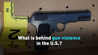 What is behind gun violence in the U.S.?