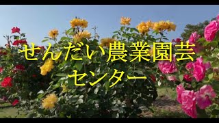 【せんだい農業園芸センター】宮城県仙台市,観光,Sendai, Miyagi Prefecture