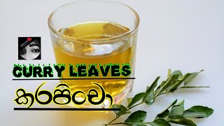 කරපිංචා / curry leaves #කරපිංචා #curry_leaves