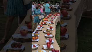 IV Feria del TOMATE de Cantabria (Torrelavega)