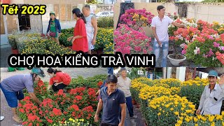 Hoa Kiểng đổ bộ vào Chợ Hoa Xuân Trà Vinh 2025