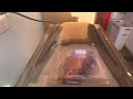 the best vacuum sealer check this out.