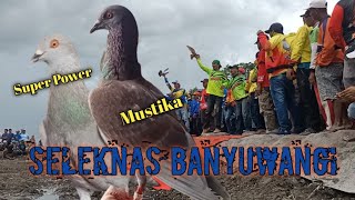 Seleknas Banyuwangi - Lomba Nasional - Merpati Balap