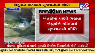 Breached Narmada canal left farms waterlogged near Lakhtar, Surendranagar |TV9GujaratiNews