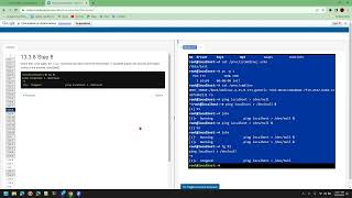 NDG Linux Essentials - Lab 13: Where Data is Stored
