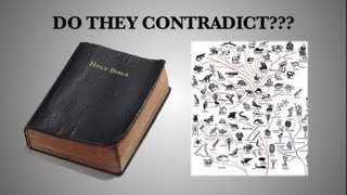 Christianity vs. Evolution?