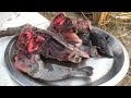 kadaknath chicken cutting and cooking kadaknath chicken recipe desi kadaknath chicken recipe