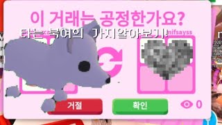 타는 북여의 가치를 알아봤어용😖#입양하세요 #로블록스 #추천 #adoptme #알고리즘 #구독 #roblox #입양하세요거래 #입양하세요가치