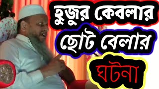 প্রতাপপুর দরবার শরীফের হুজুর কেবলার ছোটবেলার ঘটনা।। পীর আল্লামা সৈয়দ খালেদ হোসেন হুজুরের জীবনী