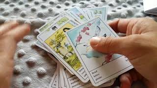 Piatnik Gipsy fortune telling cards